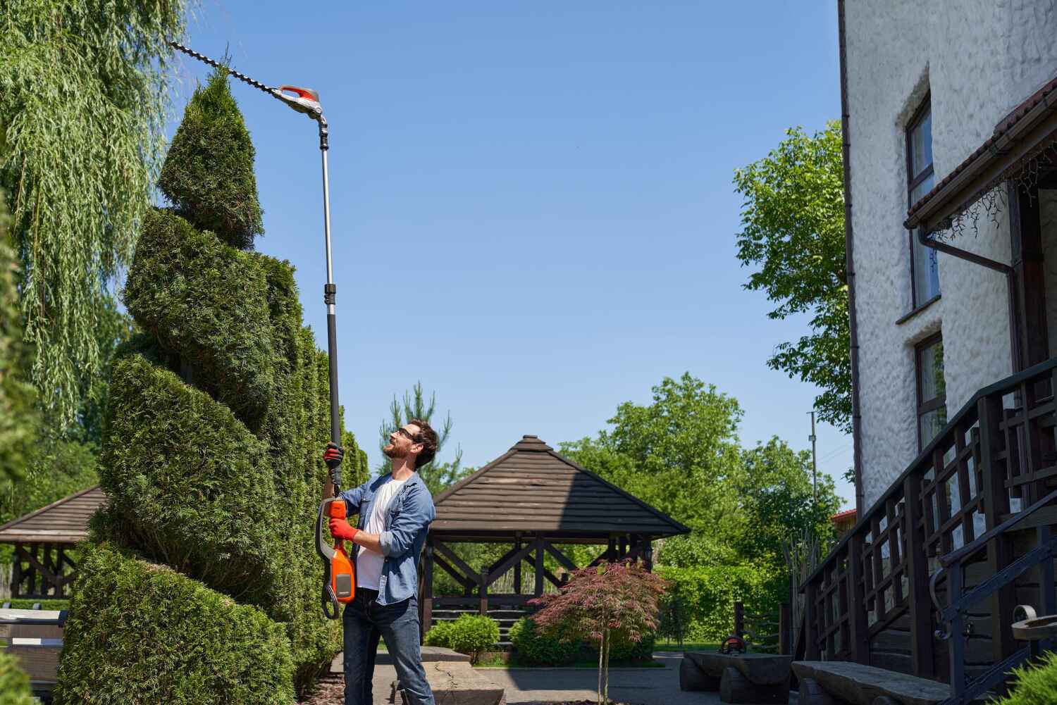 Large Tree Removal in Tillamook, OR